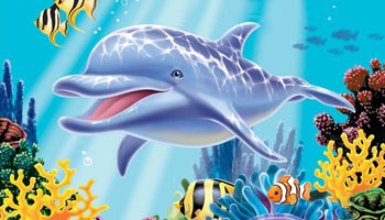 Delfin-Kindergeburtstag