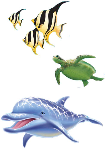 Delfin mit Schildkröte und Fischen